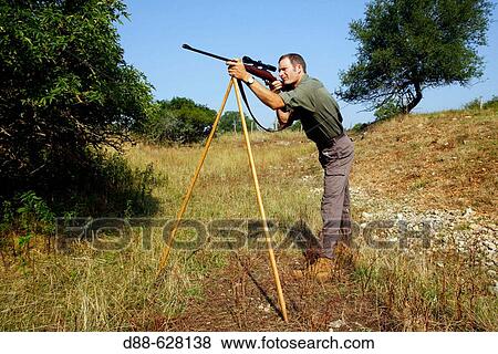 Stock Photo - Hunting. Fotosearch