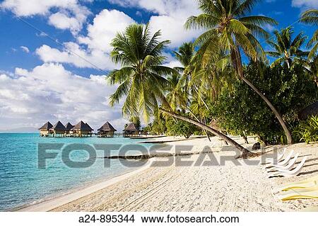 Huts at Matira, Bora Bora island, Society Islands, French Polynesia (May 2009) View Large Photo Image Picture - Huts at Matira, Bora Bora island, Society Islands, French Polynesia (May 2009). Fotosearch