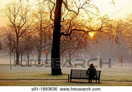 Hyde park in the morning London England View Large Photo Image Stock Photograph - Hyde park in the morning London England. Fotosearch