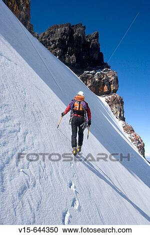 Ice climbing on Mount Ruapehu, Mountaineering. New Zealand. View Large Photo Image Stock Image - Ice climbing on Mount Ruapehu, Mountaineering. New Zealand.. Fotosearch