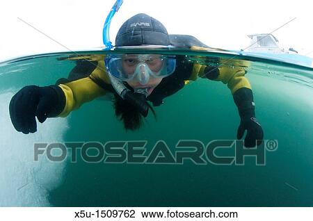Ice diving and snorkelling in the Foxe Basin, Nunavut, Canada View Large Photo Image Stock Image - Ice diving and snorkelling in the Foxe Basin, Nunavut, Canada. Fotosearch
