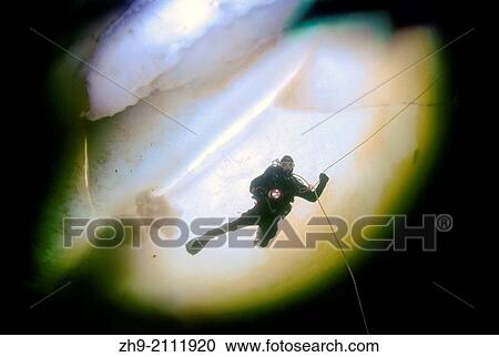 Stock Image - ice diving, Arctic, Russia, Russian north, Kareliya, White sea.. Fotosearch