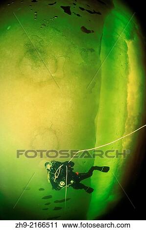ice diving, Arctic, Russia, Russian north, Kareliya, White sea. View Large Photo Image Stock Image - ice diving, Arctic, Russia, Russian north, Kareliya, White sea.. Fotosearch