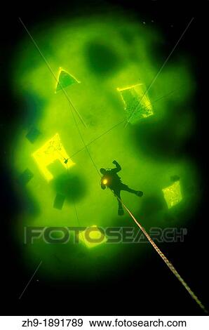 ice diving, Arctic, Russia, Russian north, Kareliya, White sea View Large Photo Image Stock Photo - ice diving, Arctic, Russia, Russian north, Kareliya, White sea. Fotosearch