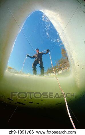 ice diving, Arctic, Russia, Russian north, Kareliya, White sea View Large Photo Image Stock Photograph - ice diving, Arctic, Russia, Russian north, Kareliya, White sea. Fotosearch