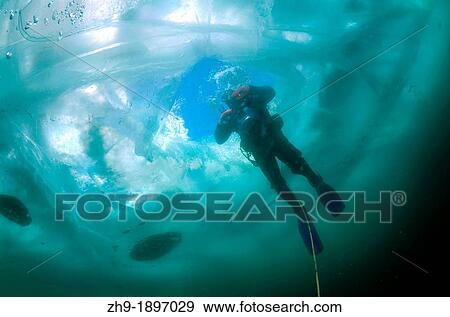 ice-diving, in lake Baikal, Siberia, Russia, island Olkhon View Large Photo Image Stock Photo - ice-diving, in lake Baikal, Siberia, Russia, island Olkhon. Fotosearch