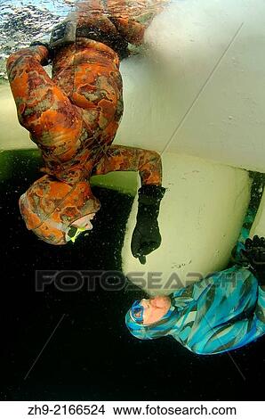 Picture - ice freediving, Arctic, Russia, Russian north, Kareliya, White sea.. Fotosearch