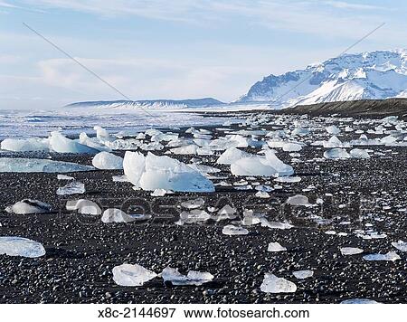 Iceberg on black vulcanic beach. North Atlantic beach of the ice lagoon Joekulsarlon at glacier Breithamerkurjoekull, Vatnajoekull NP. In background peak of Mt. Oeraefajoekul, the highest mountain in Iceland. l europe, northern europe, iceland, march. View Large Photo Image Stock Photo - Iceberg on black vulcanic beach. North Atlantic beach of the ice lagoon Joekulsarlon at glacier Breithamerkurjoekull, Vatnajoekull NP. In background peak of Mt. Oeraefajoekul, the highest mountain in Iceland. l europe, northern europe, iceland, march.. Fotosearch