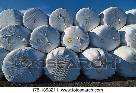 Iceland, Rolled straw bales along road View Large Photo Image Stock Image - Iceland, Rolled straw bales along road. Fotosearch