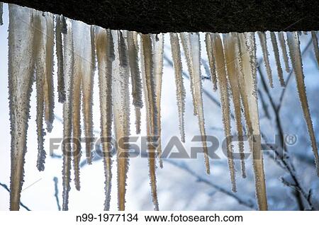 Icicles hanging down from a granite rock, Fichtelgebirge, Franken, Bavaria, Germany. View Large Photo Image Picture - Icicles hanging down from a granite rock, Fichtelgebirge, Franken, Bavaria, Germany.. Fotosearch