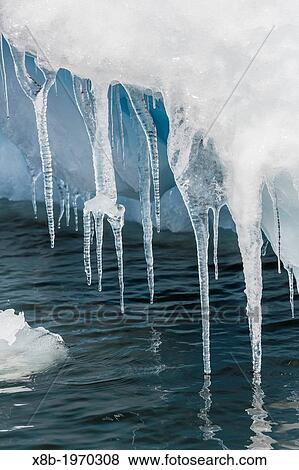 Icicles hanging from iceberg on Pleneau Island, western side of the Antarctic Peninsula, Southern Ocean. View Large Photo Image Stock Photo - Icicles hanging from iceberg on Pleneau Island, western side of the Antarctic Peninsula, Southern Ocean.. Fotosearch