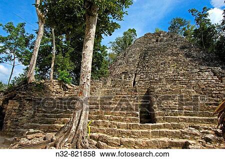 Iglesia ruin and Stela Mayan ruins of Coba, Caribe Quintana Roo state Mayan Riviera Yucatan Peninsula Mexico View Large Photo Image Stock Photo - Iglesia ruin and Stela Mayan ruins of Coba, Caribe Quintana Roo state Mayan Riviera Yucatan Peninsula Mexico. Fotosearch