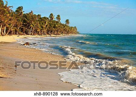 Stock Photo - Iguana Beach, Little Corn Island, Corn Islands, Nicaragua. Fotosearch
