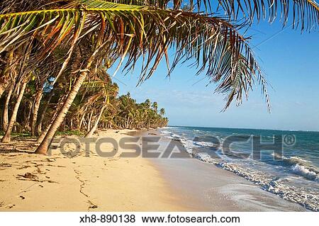 Stock Photo - Iguana Beach, Little Corn Island, Corn Islands, Nicaragua. Fotosearch