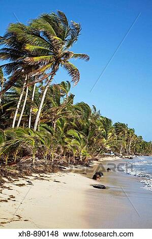 Stock Photo - Iguana Beach, Little Corn Island, Corn Islands, Nicaragua. Fotosearch