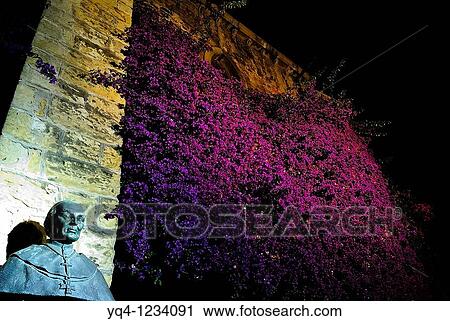 Stock Image - Iguanzo Cardela bust with the bougainvillea in the Basilica of Santa Maria del Concejo, Llanes, Asturias. Fotosearch