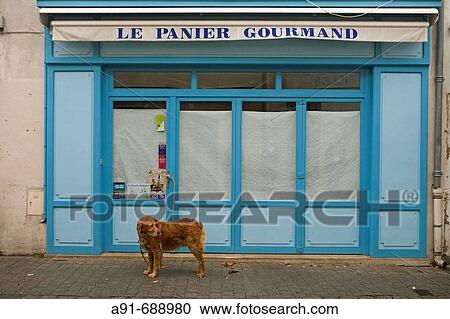 Ile de Re. Charente (17). France gourdmand View Large Photo Image Stock Image - Ile de Re. Charente (17). France gourdmand. Fotosearch