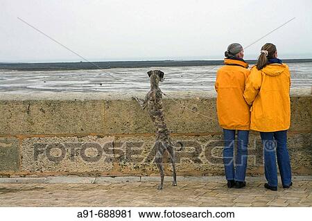 Ile de Re. Charente (17). France View Large Photo Image Stock Image - Ile de Re. Charente (17). France. Fotosearch
