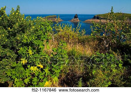 Illa Grossa, Columbretes Islands, Castellon province, Comunidad Valenciana, Spain View Large Photo Image Stock Photograph - Illa Grossa, Columbretes Islands, Castellon province, Comunidad Valenciana, Spain. Fotosearch