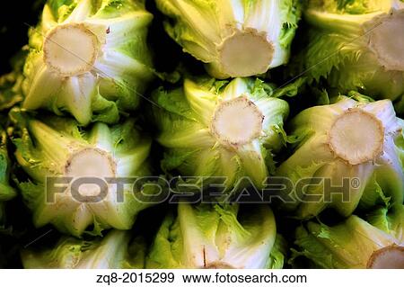 Stock Photo - Image of lettuces as a background.. Fotosearch