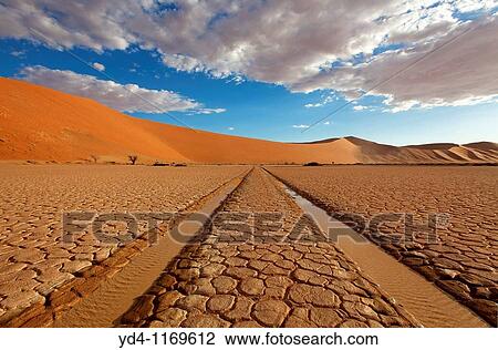 in the Hidden Vlei, Namib-Naukluft National park, Namib desert, Namibia View Large Photo Image Stock Image - in the Hidden Vlei, Namib-Naukluft National park, Namib desert, Namibia. Fotosearch