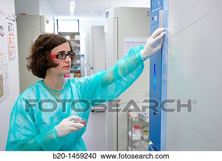 Stock Image - Incubator, Cell Culture Unit, Research in Oncology and Regenerative Medicine, Biodonostia Health and Biomedicine Research Institute, San Sebastian, Donostia, Gipuzkoa, Euskadi, Spain. Fotosearch