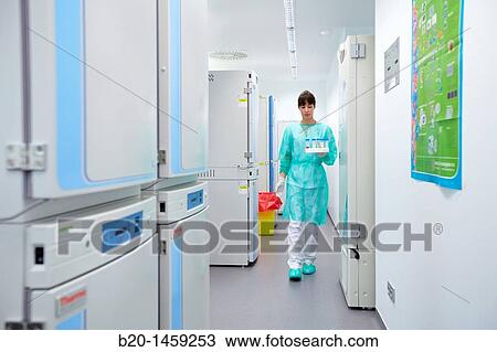 Stock Image - Incubators, Cell Culture Unit, Research in Oncology and Regenerative Medicine, Biodonostia Health and Biomedicine Research Institute, San Sebastian, Donostia, Gipuzkoa, Euskadi, Spain. Fotosearch