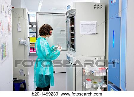 Incubators, Cell Culture Unit, Research in Oncology and Regenerative Medicine, Biodonostia Health and Biomedicine Research Institute, San Sebastian, Donostia, Gipuzkoa, Euskadi, Spain View Large Photo Image Stock Photo - Incubators, Cell Culture Unit, Research in Oncology and Regenerative Medicine, Biodonostia Health and Biomedicine Research Institute, San Sebastian, Donostia, Gipuzkoa, Euskadi, Spain. Fotosearch