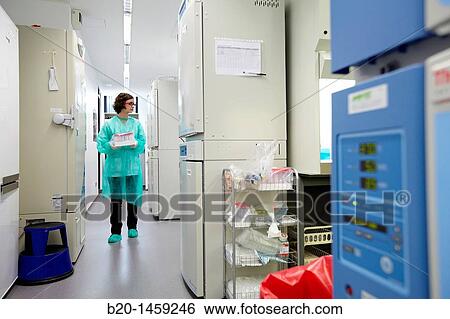 Incubators, Cell Culture Unit, Research in Oncology and Regenerative Medicine, Biodonostia Health and Biomedicine Research Institute, San Sebastian, Donostia, Gipuzkoa, Euskadi, Spain View Large Photo Image Stock Photograph - Incubators, Cell Culture Unit, Research in Oncology and Regenerative Medicine, Biodonostia Health and Biomedicine Research Institute, San Sebastian, Donostia, Gipuzkoa, Euskadi, Spain. Fotosearch