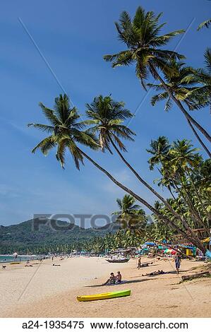 India, Goa State, Palolem Beach View Large Photo Image Stock Photography - India, Goa State, Palolem Beach. Fotosearch