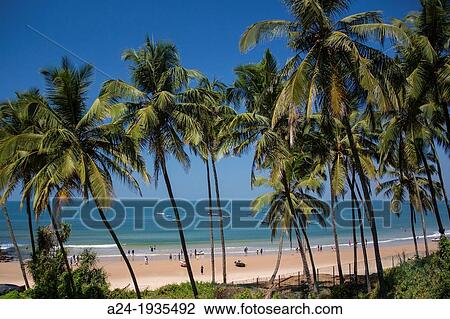 India, Goa State, Sinquerim Beach View Large Photo Image Stock Image - India, Goa State, Sinquerim Beach. Fotosearch