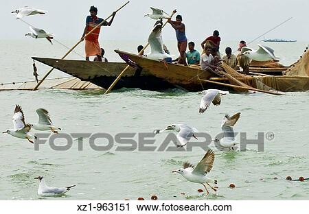 India, Orissa, Chilika lake, fishermen View Large Photo Image Stock Image - India, Orissa, Chilika lake, fishermen. Fotosearch