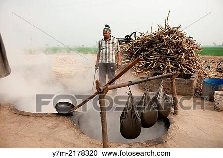 India: Punjab: Sugar production from Sugar Cane View Large Photo Image Stock Image - India: Punjab: Sugar production from Sugar Cane. Fotosearch