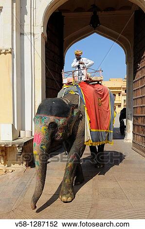 Stock Image - India, Rajasthan, Amber fort, Mahout on elephant back leaving the palace. Fotosearch