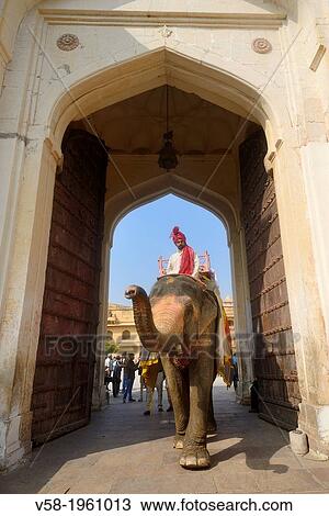 Stock Image - India, Rajasthan, Amber fort, Mahout on elephant back.. Fotosearch