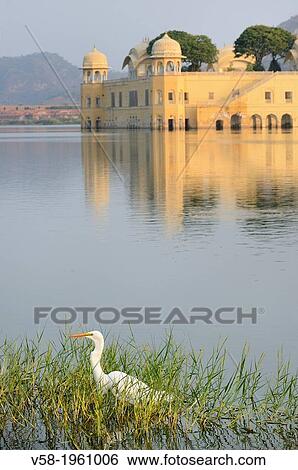 India, Rajasthan, Jaipur, Jal Mahal Palace, Egret. View Large Photo Image Stock Photograph - India, Rajasthan, Jaipur, Jal Mahal Palace, Egret.. Fotosearch