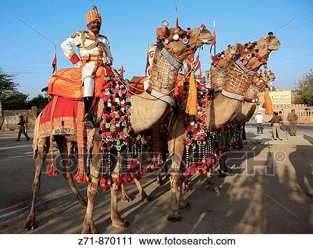 India, Rajasthan, Jaisalmer, Desert Festival, camel procession View Large Photo Image Stock Image - India, Rajasthan, Jaisalmer, Desert Festival, camel procession. Fotosearch