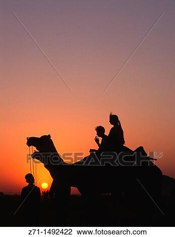 India, Rajasthan, Pushkar, Camel Fair, camels, people, View Large Photo Image Stock Image - India, Rajasthan, Pushkar, Camel Fair, camels, people,. Fotosearch