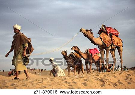 Stock Photograph - India, Rajasthan, Thar Desert, Sam Sand Dunes, people with camels. Fotosearch