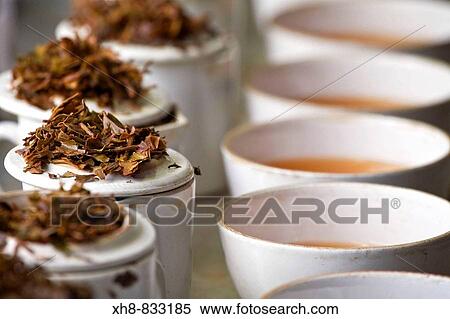 India, West Bengal, Kurseong, Goomtee Tea Estate, Factory, Tea tasting View Large Photo Image Stock Photography - India, West Bengal, Kurseong, Goomtee Tea Estate, Factory, Tea tasting. Fotosearch