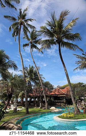 Indonesia, Bali, Sanur, swimming pool, palms, View Large Photo Image Stock Photo - Indonesia, Bali, Sanur, swimming pool, palms,. Fotosearch