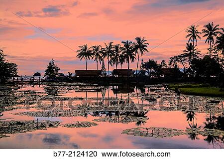 Indonesia, Eastern Bali, view of the lotus lagoon at Candidasa. View Large Photo Image Stock Image - Indonesia, Eastern Bali, view of the lotus lagoon at Candidasa.. Fotosearch