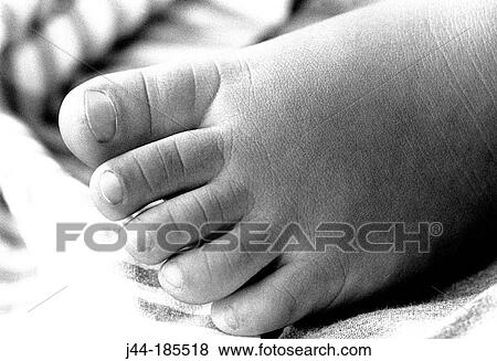 Infant's foot View Large Photo Image Stock Photo - Infant's foot. Fotosearch
