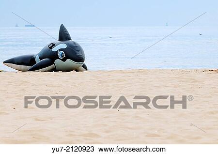 Stock Image - Inflatable orca on the beach in Swinoujscie at Baltic Sea, Poland.. Fotosearch