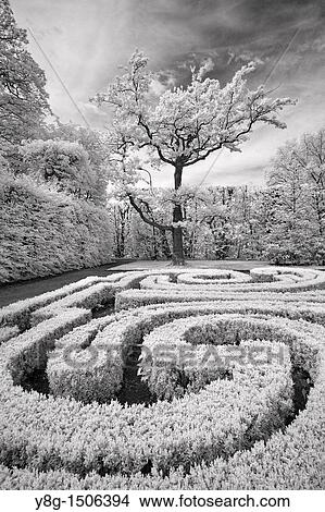 Picture - Infrared Image, Arkadia, Poland, Europe. Fotosearch