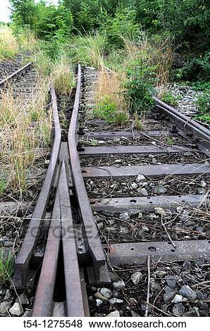 Ingrown railway points View Large Photo Image Stock Photo - Ingrown railway points. Fotosearch