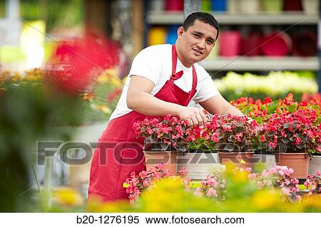 Inmigrante hondureo trabajando en Espaa, jardinero, Garden center. View Large Photo Image Stock Photography - Inmigrante hondureo trabajando en Espaa, jardinero, Garden center.. Fotosearch