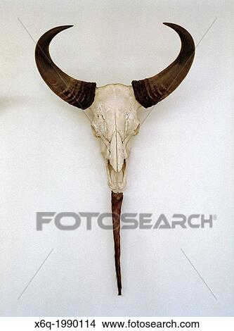 Inside the Independence Palace in Saigon (Ho Chi Minh City) in Vietnam. View Large Photo Image Picture - Inside the Independence Palace in Saigon (Ho Chi Minh City) in Vietnam.. Fotosearch