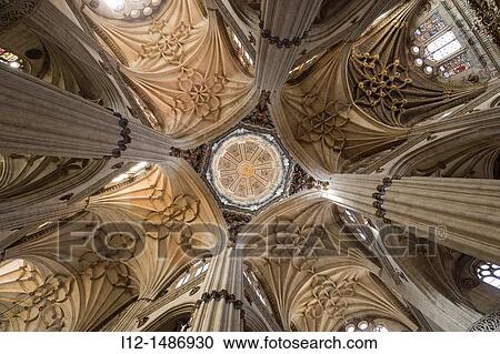 Interior New Cathedral, dome and vaults, Salamanca, Castilla y le? n, Spain View Large Photo Image Stock Image - Interior New Cathedral, dome and vaults, Salamanca, Castilla y le? n, Spain. Fotosearch