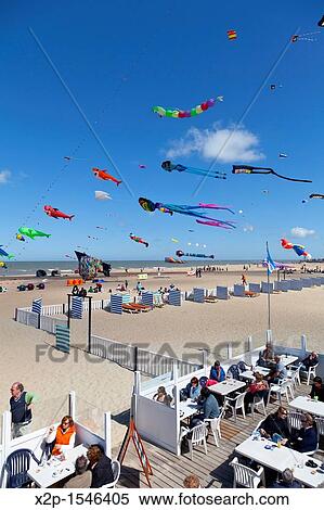 International Kite Festival in Ostend, Belgium, Europe View Large Photo Image Stock Photography - International Kite Festival in Ostend, Belgium, Europe. Fotosearch